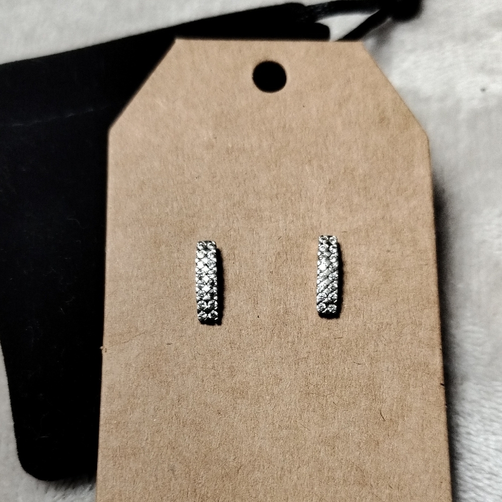 Elegant Silver Rhinestone Earrings